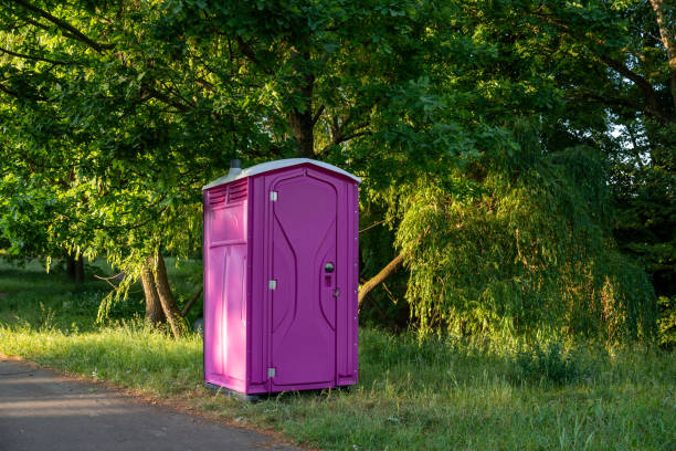 Best Portable Toilet Rental for Emergency Services  in Lake Ripley, WI